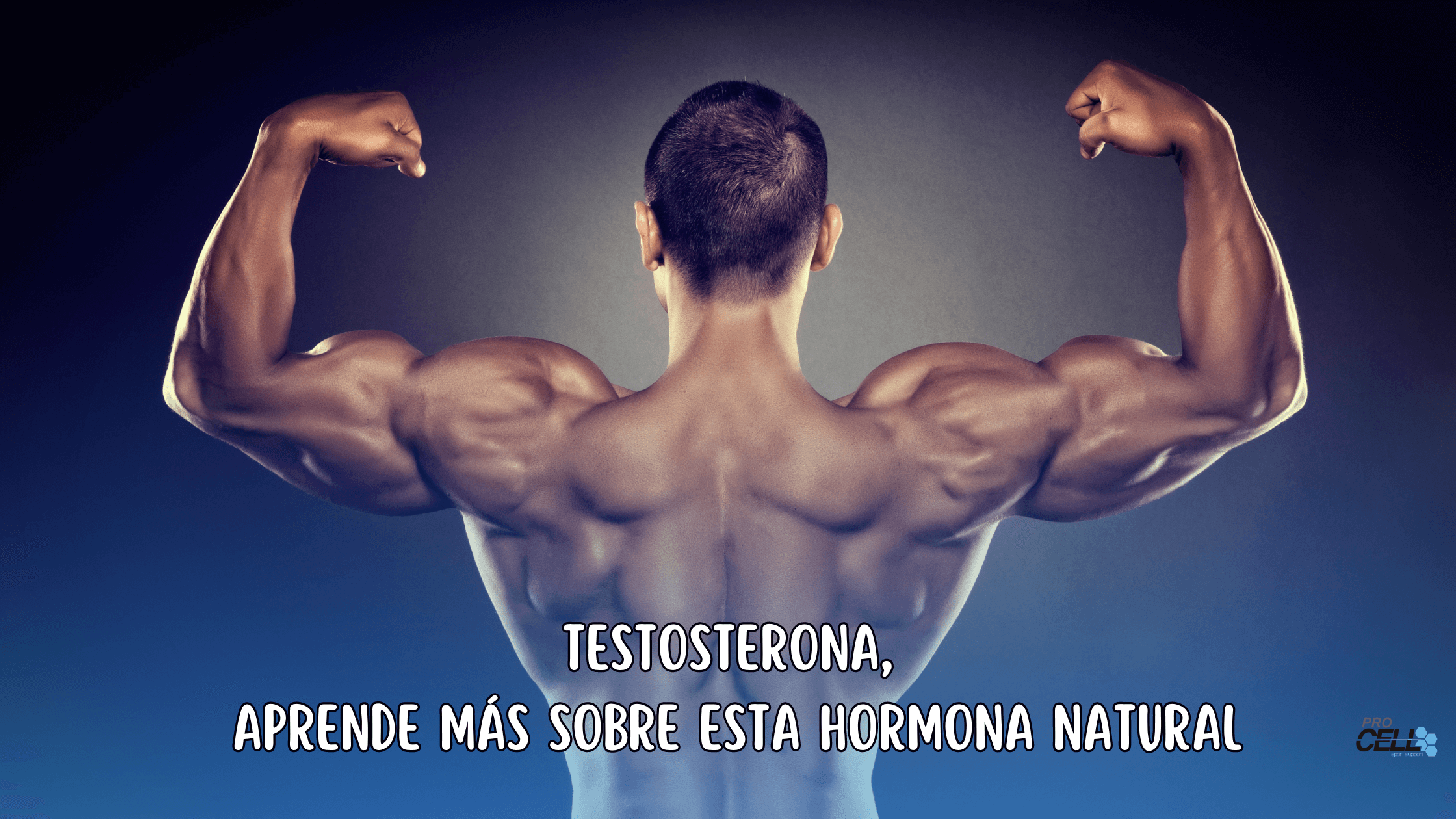Testosterona, aprende más sobre esta hormona natural